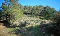 Residential 9365 m2 for sale in Kato Pyrgos, Nicosia