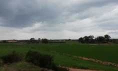 Residential 5839 m2 for sale in Liopetri, Famagusta