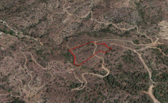 (agricultural) in Kalo Chorio, Limassol for sale , Limassol