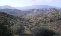 (agricultural) in Kalo Chorio, Limassol for sale , Limassol