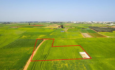 Field in Sotira, Famagusta , Famagusta