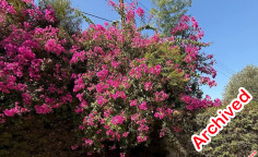 Spacious 5 bedroom house for sale in Engomi