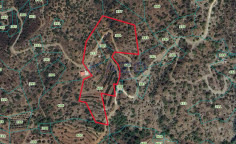 Large 19660m2 field with 300 trees and 2 bedroom house in green Arakapas , Limassol