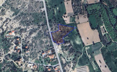 Large 10034m2 field for sale in Maroni village , Larnaca