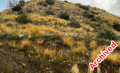 Large 4348m2 field for sale in Melini village (landlocked) , Larnaca Large 4348m2 field for sale in Melini village (landlocked) , Larnaca