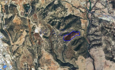 Large 87627m2 field for sale in Palodeia (landlocked) , Limassol
