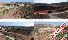 Large 3345sqm field for sale in Agia Varvara , Paphos