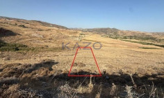 Large field for sale in Agia Varvara area , Paphos