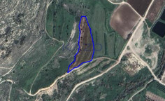 Large field for sale in peaceful Agia Varvara , Paphos