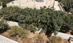 For sale: residential building plot in Sotiros , Larnaca