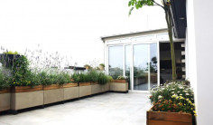 Beautiful three beds apartment for sale in Lakatamia