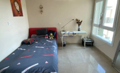 Spacious penthouse with pool and gym in Parekklisia 