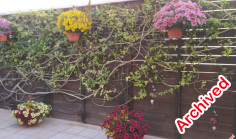 Fully furnished Pegeia townhouse with pool access 
