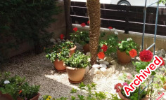 Fully furnished Pegeia townhouse with pool access 