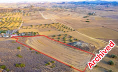 Shared agricultural field in Tseri, Nicosia 