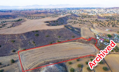 Shared agricultural field in Tseri, Nicosia 