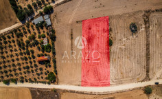 Land 2899 m2 for sale in Aradippou, Larnaca