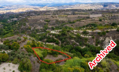 Agricultural field in theletra, Paphos 