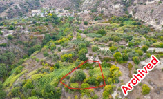 Agricultural field in theletra, Paphos 