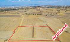 Shared agricultural field in Pera, Nicosia Shared agricultural field in Pera, Nicosia