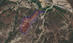 Spacious field plot for sale in Asgata village , Limassol