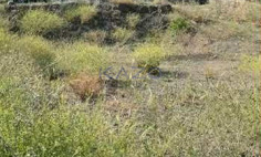 Large development land for sale in Arakapas village , Limassol
