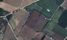 Large 9031m2 field for sale in Timi (right of way) , Paphos Large 9031m2 field for sale in Timi (right of way) , Paphos