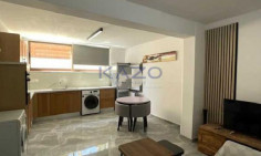 Spacious two bedroom basement home in quiet Polemidia 