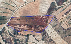Large 14047 m2 field for sale in Pachna (landlocked) , Limassol