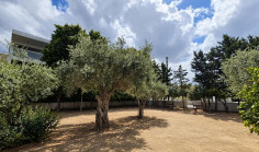 2 apartment to rent in Strovolos