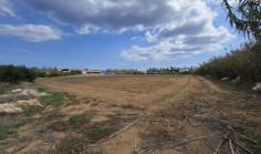 Land 22026 m2 for sale in Kapparis, Famagusta
