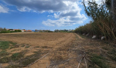 Land 22026 m2 for sale in Kapparis, Famagusta