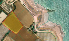 Land 22026 m2 for sale in Kapparis, Famagusta