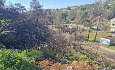 Prime residential land in Souni, 3910 m2 , Limassol