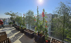 3 apartment for sale in Agioi Omologites 3 apartment for sale in Agioi Omologites