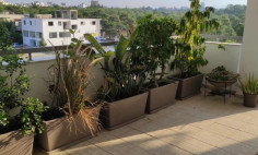 Three bedroom apartment to rent in Aglantzia Three bedroom apartment to rent in Aglantzia