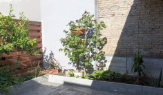 3 beds house to rent in Strovolos 3 beds house to rent in Strovolos