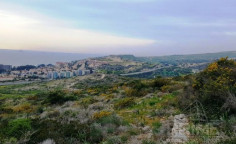 Lovely land to buy Parekklisia, Limassol