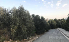 Luxury land for sale in Chloraka, Paphos