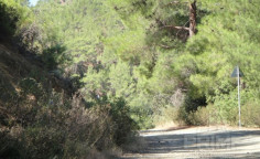Lovely land for sale in Pera Pedi, Limassol