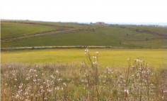 Lovely land for sale in Anarita, Paphos