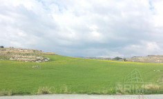 Lovely land for sale in Anarita, Paphos