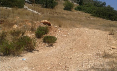 Large land in Kissonerga, Paphos
