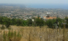 Large land in Kissonerga, Paphos