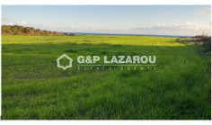Agricultural land for sale in Mazotos, Larnaca 
