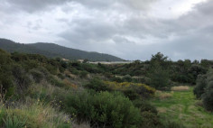 LAND FOR SALE IN GIALIA VILLAGE, OPPOSITE THE SEA