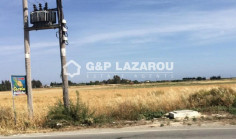 Agricultural land for sale in Softades, Larnaca 