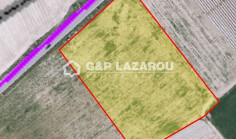 Agricultural land for sale in Softades, Larnaca 
