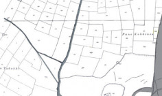 Land parcel 239 in Nisou , Nicosia