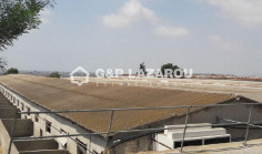 Warehouse 3450 m2 for sale in Aradippou